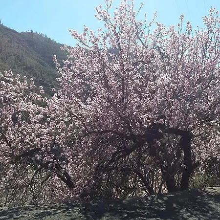 度假居 Casa Cueva Manuel Y Maria *