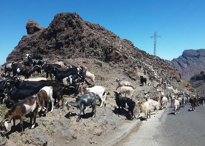 Casa Cueva Manuel Y Maria El Juncal
