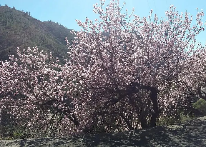 Σπίτι διακοπών Casa Cueva Manuel Y Maria *